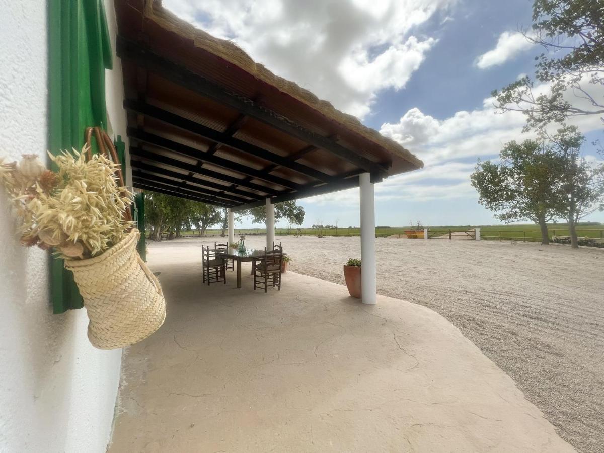 Masia Blanca Deltebre Ngoại thất bức ảnh